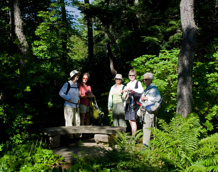 AsticouGardenViewingBench_4252.jpg - Mary Theroux, Sharon Manges, Judy Sollenberger, Peggy Fogarty and Mary Dorsey at the viewing bench across from the sand garden