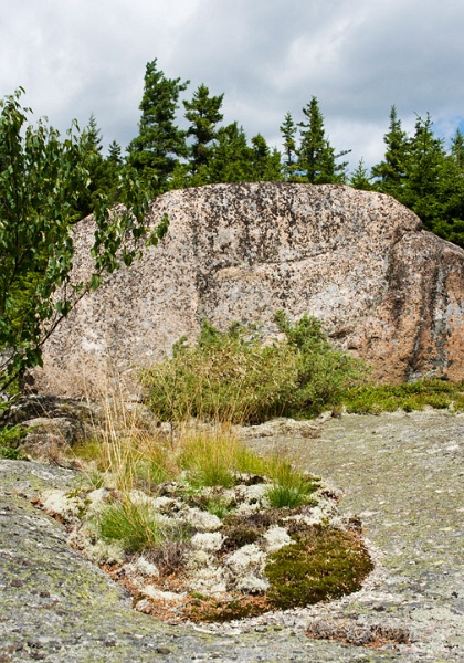 BeechMountainLunchSpot_4328.jpg - Nice natural "rock garden" near our lunch spot on Beech Mountain