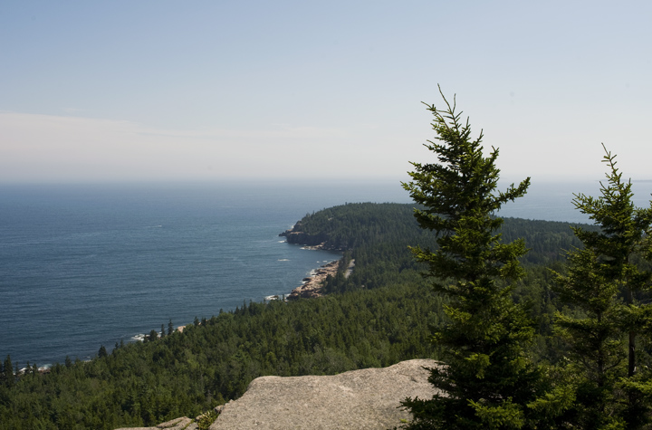 GorhamMtOtterRocks_4713.jpg - Looking to  the Otter Cliffs from Mount Gorham