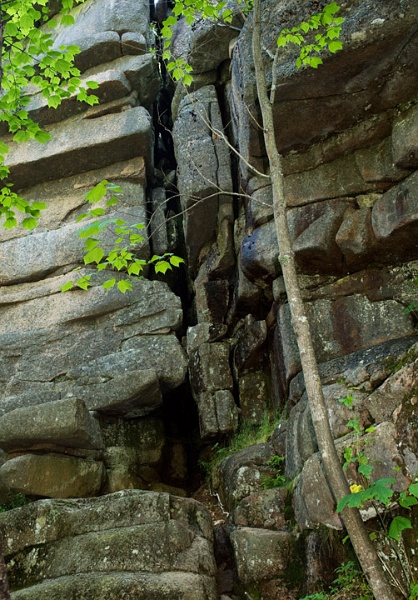GorhamMt_4709.jpg - On the climb up Mount Gorham from the Cadillac Cliffs. This shows one of several "Sea Caves" that were once 400-500 feet lower at sea level. The weight of a glacier had once compressed the land and when it receded, the cliffs along with the caves rose up into Mount Gorham.