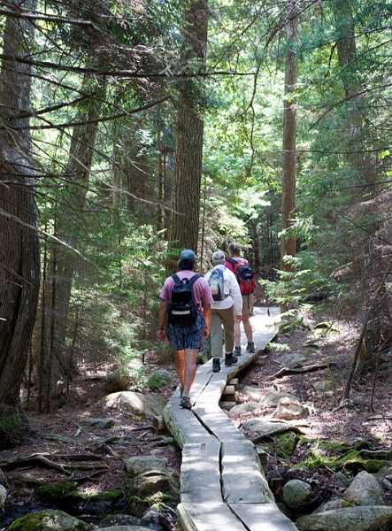 JordanPondBoardwalk_4580.jpg - The boardwalk section of the Jordan Pond trail