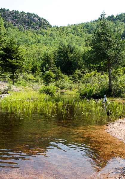 JordanPondNorthEnd_4534.jpg - North end of Jordan pond, an area once altered by a beaver dam