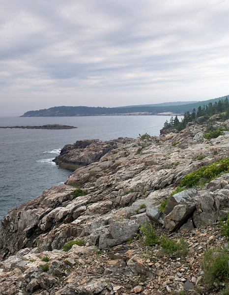 OldSoaker_4661.jpg - A view of "Old Soaker" rocks and Otter Cliffs beyond
