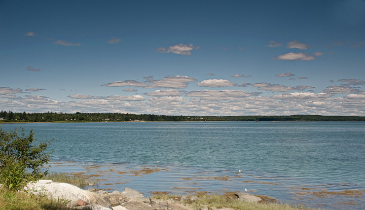 Picnic_4759.jpg - Our final lunch stop before departing Acadia NP