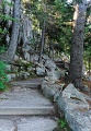 AsticouGardenWalk_4354