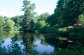 AsticouGarden_4233