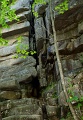 GorhamMt_4709