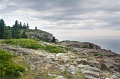 GreatHead_4653