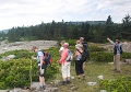 GreatHead_4658