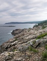 OldSoaker_4661