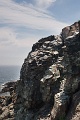 OtterRocks_4702