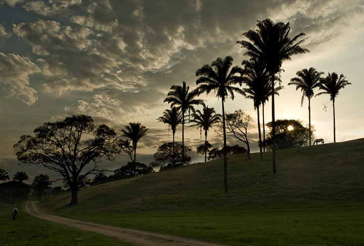 BelizeSunset_1853b.jpg - A Belizean sunset
