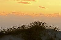  Sunrise - Pea Island NWR