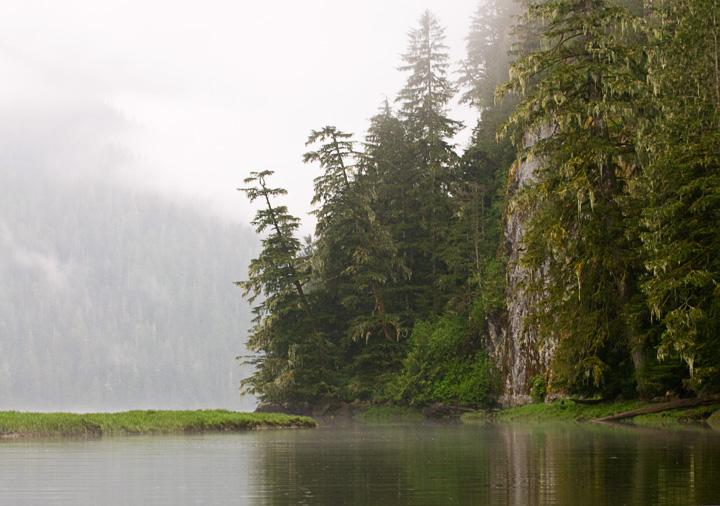 FoggyMorning_2415