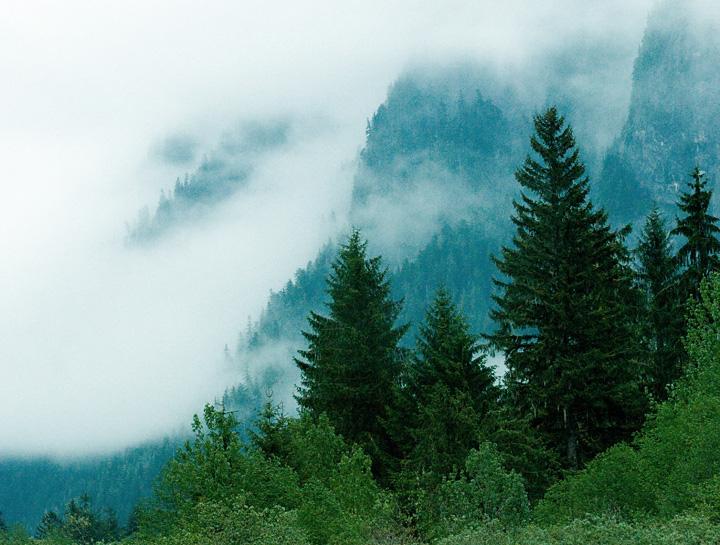 MountainFog_3410