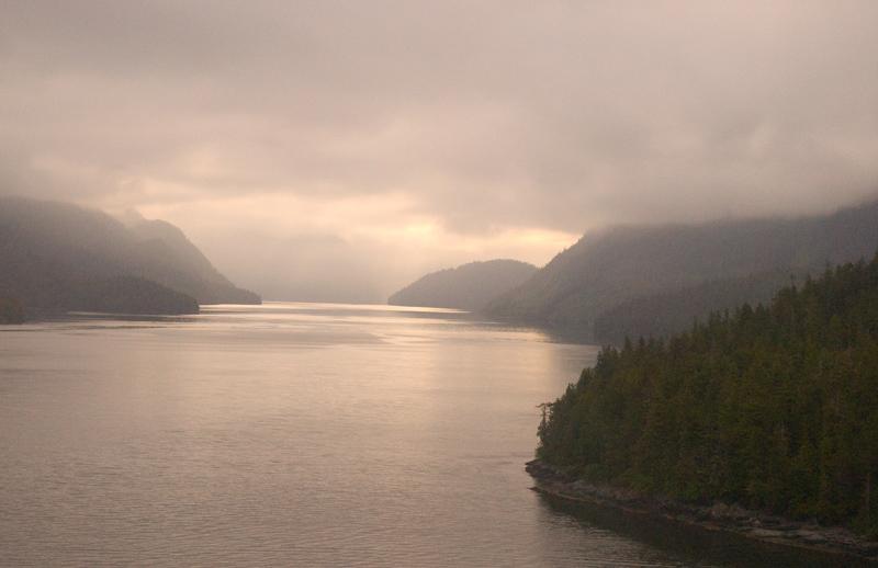 RiverFog_6477