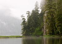  A foggy morning on the Khutzeymateen.