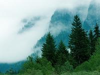 MountainFog_3410