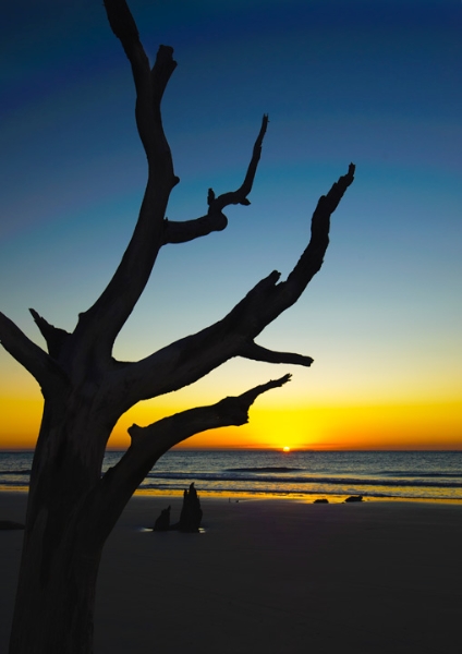 HuntingIslandSunrise_9109.jpg - Sunrise, Hunting Island, South Carolina