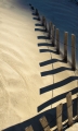 SandFence_9435b