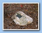 [Click to enlarge image]