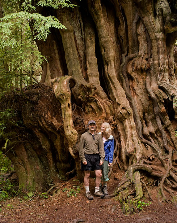 BigCedarJamieCaren_9704.jpg - Jamie and Caren stand in frot of a rather large cedar tree near the beach.  we estimated its circumference to be about 110 feet.  