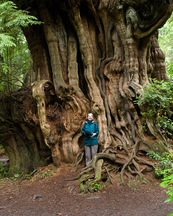 BigCedarMary_9713.jpg - Mary enjoyed making friends with the forest sentinel.  