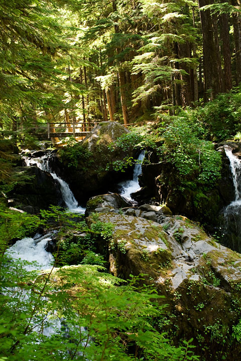CanyonCreekFalls_0022.jpg - The Lower Canyon Creek Falls  