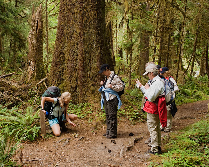 CarenLichenLesson_9919.jpg - Finding a piece of lichen that had fallen from the branch of a tree, Caren takes the opportunity to educate us about the slow growth rate of the organism.  
