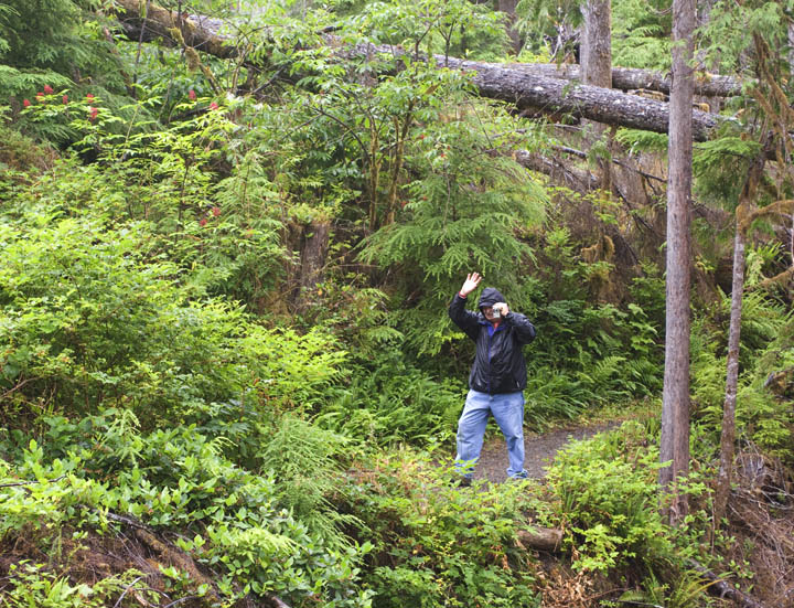 GeorgeCatchesUp_9550.jpg - George was reassuring us that he had not gotten lost, but had merely stopped to investigate some elk droppings. We hiked through some incredible storm damage that left acres of mountainside littered with criss-crossed giants of spruce and fir and cedar.  