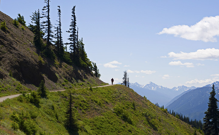 HurricaneGeorge_0201.jpg - George rounds a turn in the trail, looking toward Mt. Olympus.  