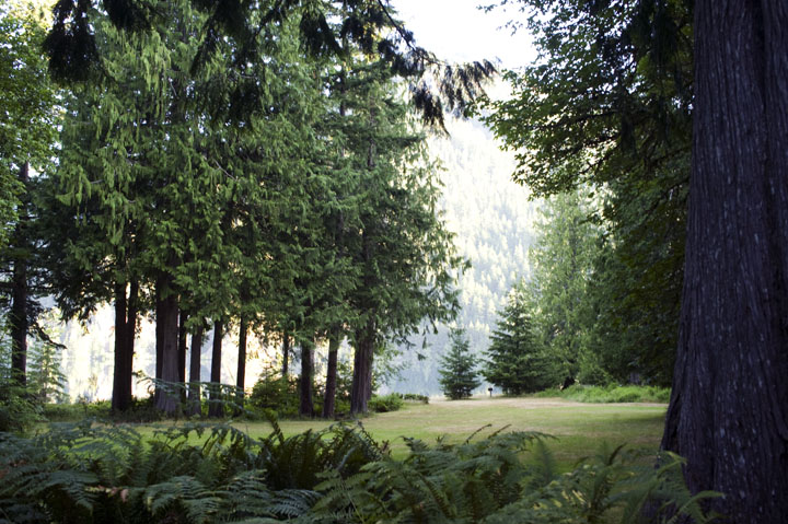 LakeCrescent_0212.jpg - The view from our bedroom window at Lake Crescent.  