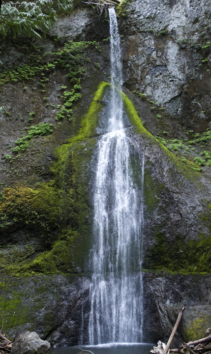 MarymereFalls_0072.jpg - Marymere Falls  