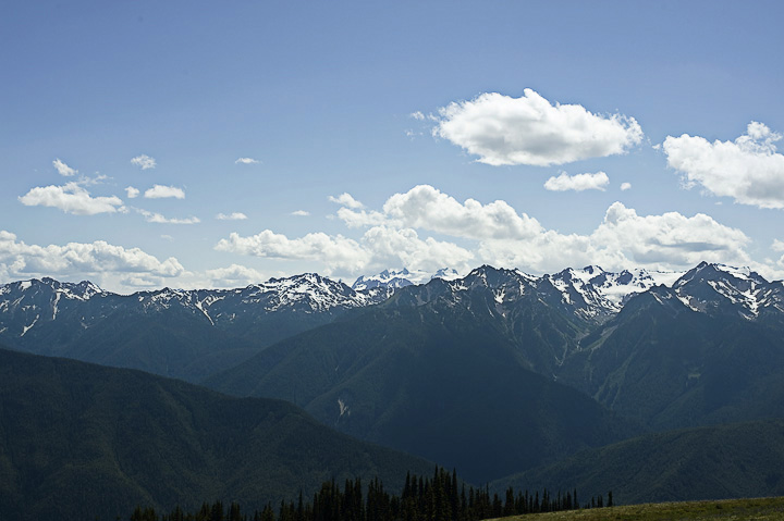 MtOlympus_0209.jpg - Mount Olympus (7679 feet),seen on the background has several peaks, all over 7000 feet.  