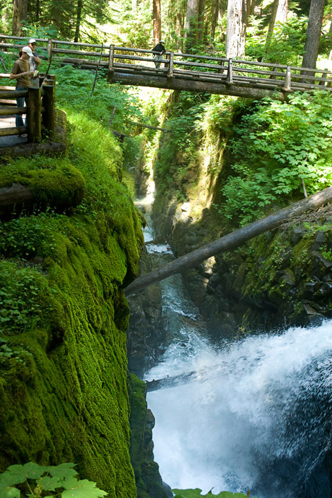 SolDuc_0050.jpg - Mary stands on the bridge crossing the gorge below the falls  