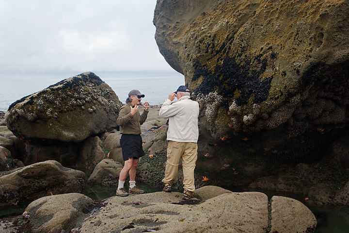 StarfishJamieGeorge_9651.jpg - Jamie is explaining to George why he can't go  skinny-dipping in the cold Pacific surf.  