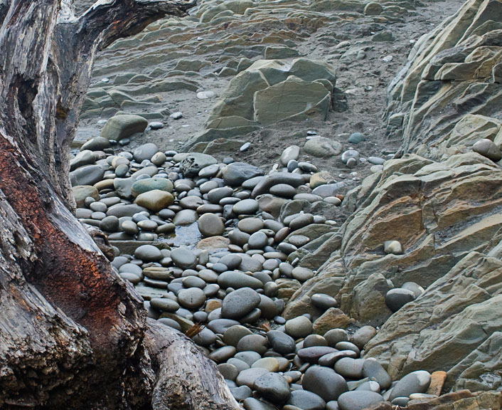 StarfishPoint_9618.jpg - Driftwood and rocks along the beach created beautiful textures and subtle colors.  