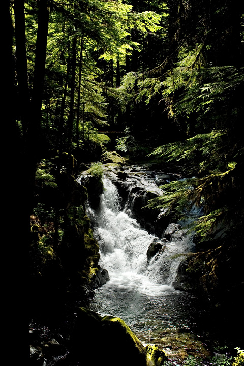 UpperCanyonCreekFalls_0006.jpg - The upper falls of Canyon Creek as it tumbles to the Sol Duc River below.  