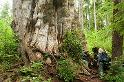 BigCedar_9873