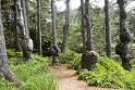 Burls_9786