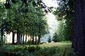 LakeCrescent_0212