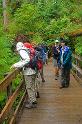 QuinaultBridge_9562