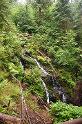 QuinaultCascade_9556