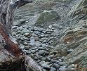 StarfishPoint_9618