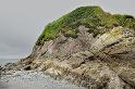StarfishPoint_9672