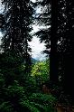 Tom_9922
