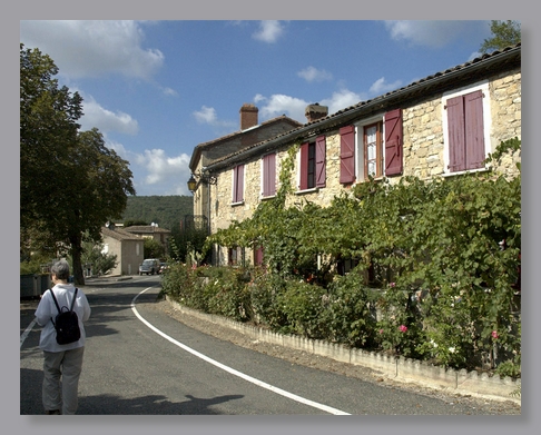 PenneMaryWalk_3899 