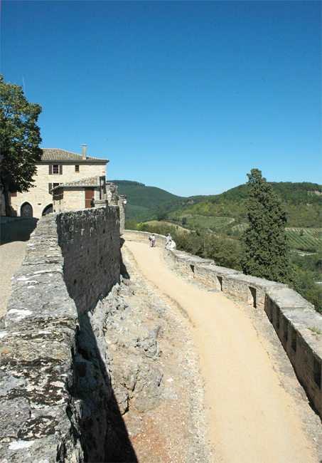 Puycelsi_4446 