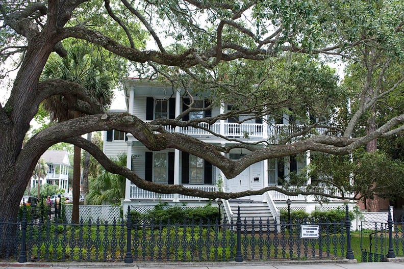 OfficeBuilding_3908.jpg - Office building with live oak. Much of Beaufort, South Carolina reamains as it was before the Civil War, since it was captured by the federal troops early on and spared the razing that most southern cities underwent.
