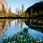 Cathedral Rock Reflection - June 2011